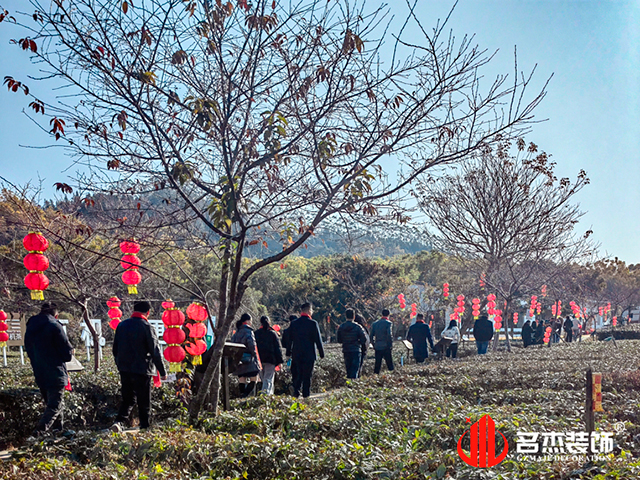 桃子视频免费下载观看动漫公司